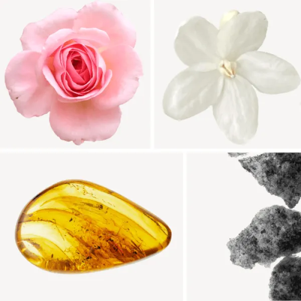 Duftnoten: Rose, Jasmin, Bernstein, Moschus